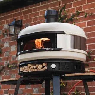 Shop for a New Labor Day Grill